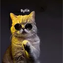 bytlaa