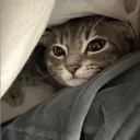 Jean profile picture