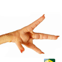 avatar Pé de Frango