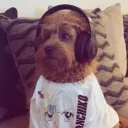 acousticjax