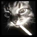 t1t4n_fr
