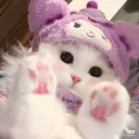 laurausagi avatar