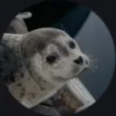 lazyseal417