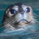 lazyseal417