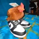 anonymous_individual avatar