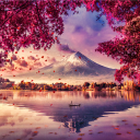 avatar シネクシー