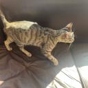 avatar nomehablesnuncamás