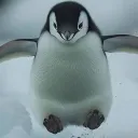 sqishums