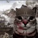 elpatoo._79228 avatar