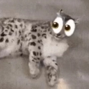 avatar Dosjmobile_45756