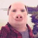 pynk00