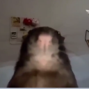 avatar ! 𝓕𝔁𝓫1𝓪𝓷_