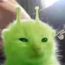 xddnt02 avatar