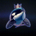 timthebossorca