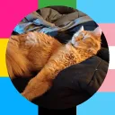 sleepyboi_parky