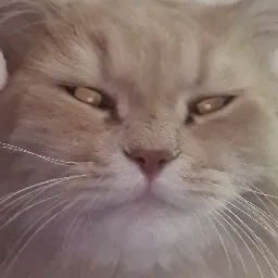 Ka$h's Avatar
