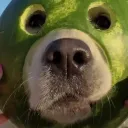 fwoggie_poggie