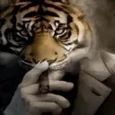 nicolasomg._97181 avatar