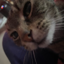 bananaduckdude2_13810