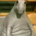 bananaduckdude2_13810