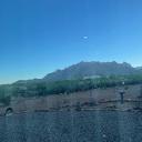 bananaduckdude2_13810's profile picture