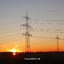 ofliciel_71978