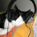 vibe_cat0 avatar