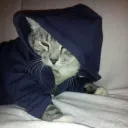 kofipcodez