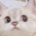 avatar LuckiiStar