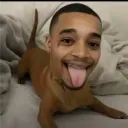 twoholeplanes avatar