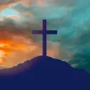 mt.sinai