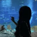 jenniferthefantastic