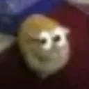 queso_cheddar.