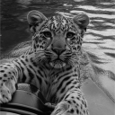 avatar 100 days 100 nights