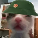 goofyahhuser08
