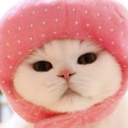 lilkittyy_1