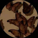 morgan_soul