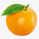 orange_orange_orange1