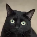 pomelothereaper