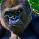 Bio