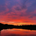 avatar ★彡𝚂υɳʂҽƚ𝟸𝟶彡★