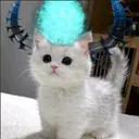 chancehasanewaccount