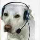 thedonflipper638's Avatar