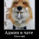 dust_fox