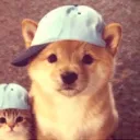 mek_mew