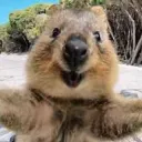 beetlejuice2.0 avatar