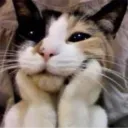 luxfynx