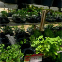 avatar 𝐿𝒾𝓁𝒾 💞🎀