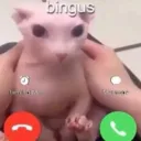 sjovsuppe_22578 avatar