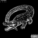 𝓦𝓱𝓲𝓼𝓴𝓮𝔂